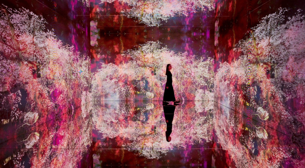 《蜷川實花展with EiM：彼岸之光，此岸之影》登陸台北！8大展區設計，走進光影交織的沉浸式藝術世界