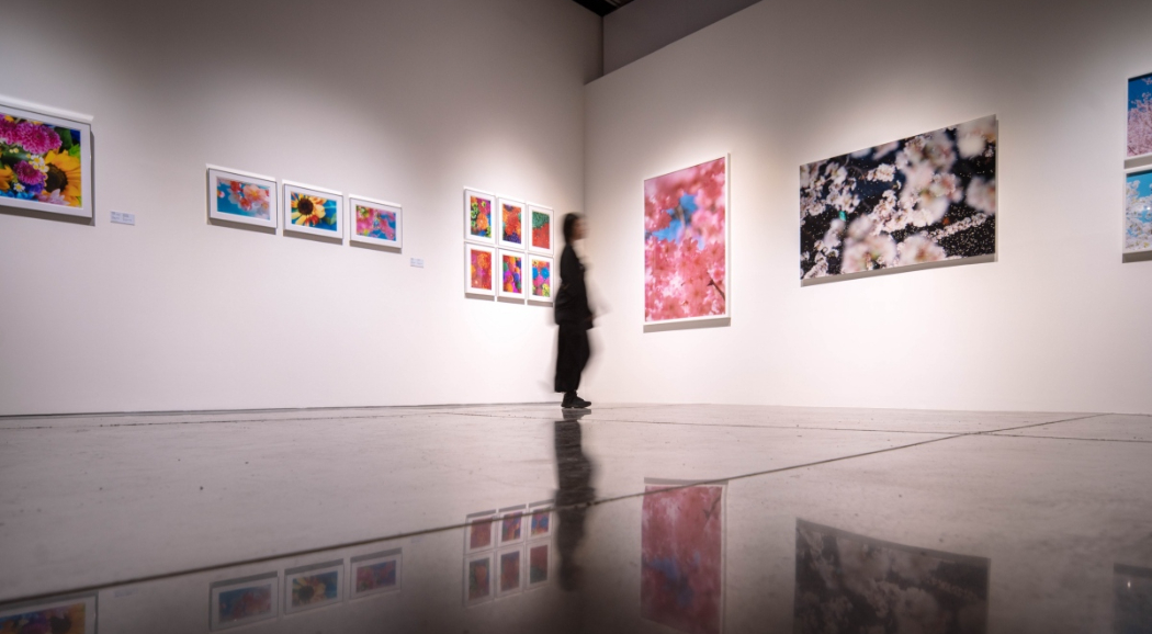 屏東縣立美術館開幕！首檔展覽《當繁花盛開》集結草間彌生、村上隆、奈良美智、鹽田千春等16位日本藝術家之作