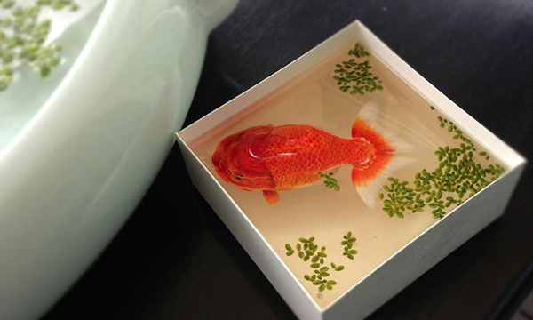 驚人技藝 Keng Lye超真實3D繪畫雕塑