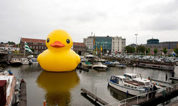 你迷上了嗎 Rubber Duck Project可愛黃色大鴨即將到港 你迷上了嗎 Rubber Duck Project可愛黃色大鴨即將到港