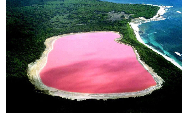 澳洲粉紅湖泊 Lake Hillier真實的夢幻湖