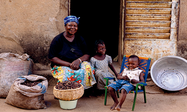 西非布吉納法索國的乳油木學堂