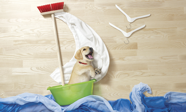 貓咪小狗大冒險 Hill's Pet寵物療癒廣告