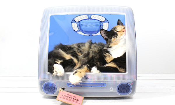 iMac電腦新用途！舒適寵物小窩