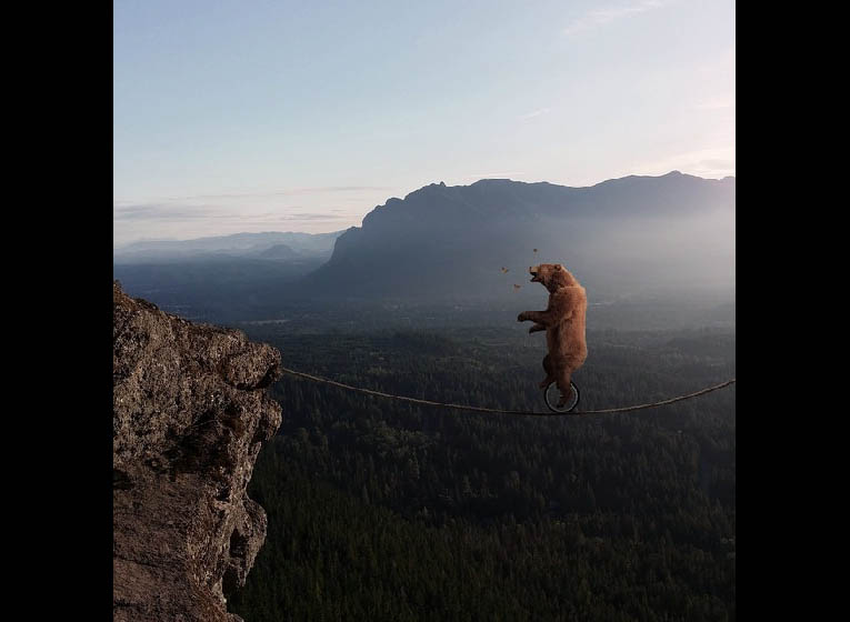 La Vie 高空中走鋼索的黑熊?! 超現實攝影讓你找回作夢的能力