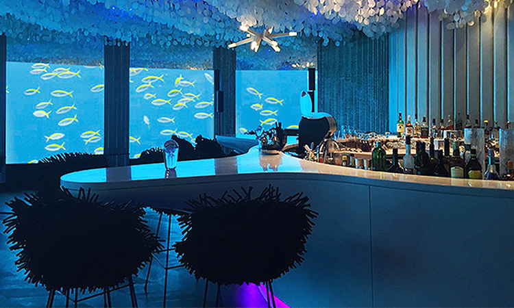 一起坐在海膽上吃飯吧！馬爾地夫的海洋餐廳讓你深入海底