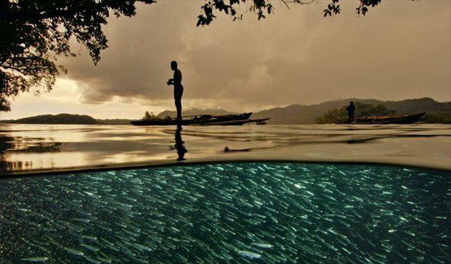 一個世界兩種畫面 水面上與下的美麗世界