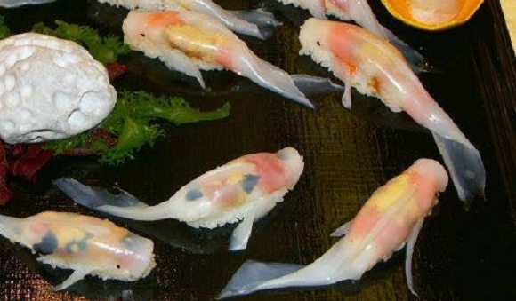 日本商家推出「錦鯉造型」壽司