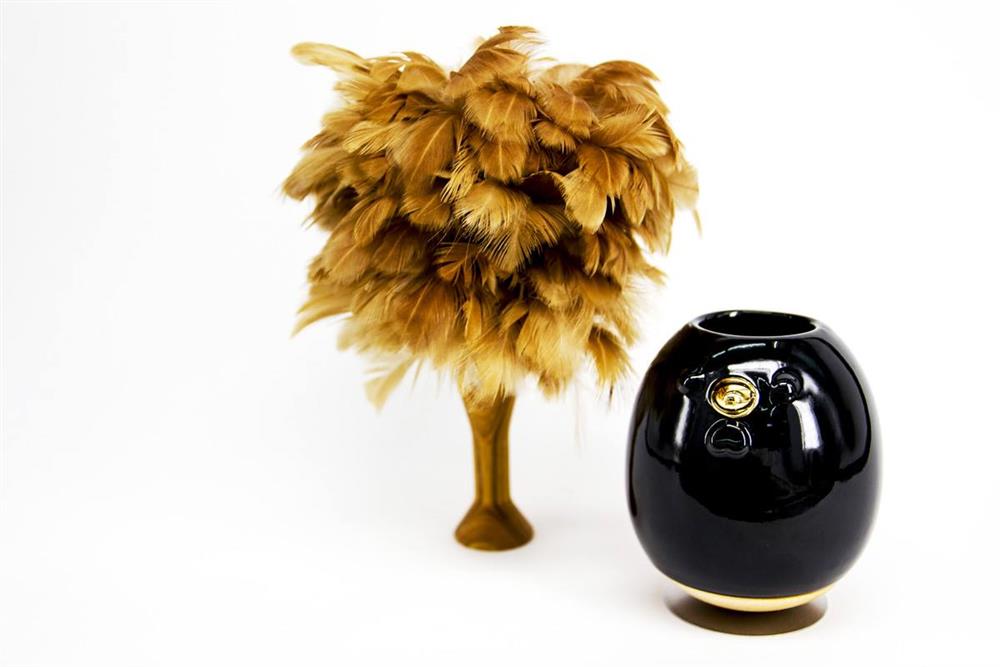 48950286_1793780197400965_5775893211029438464_o