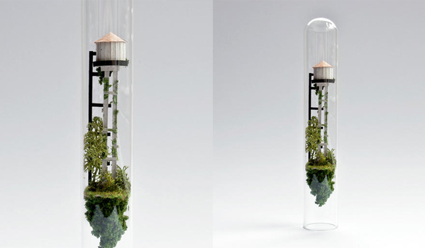 玻璃試管中的秘密樂園