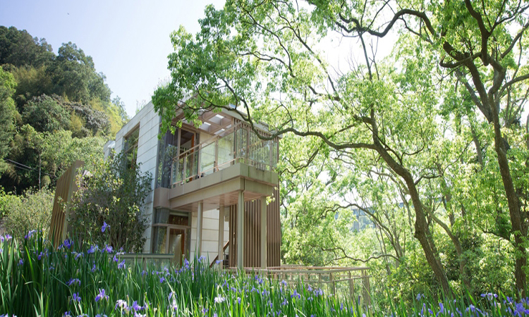 與樟木林一同呼吸─樹也Villa