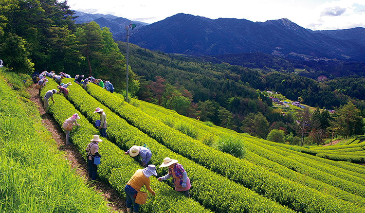 好設計，讓地方重燃元氣！「日本最美的村莊」聯盟守護農山村的景觀與生活_02
