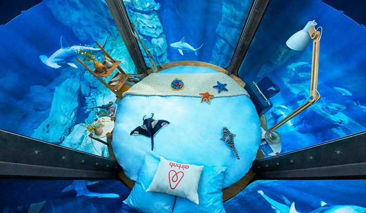 說出你最想要體驗的旅遊經驗！Airbnb 送你去法國水族館與鯊魚共枕眠！