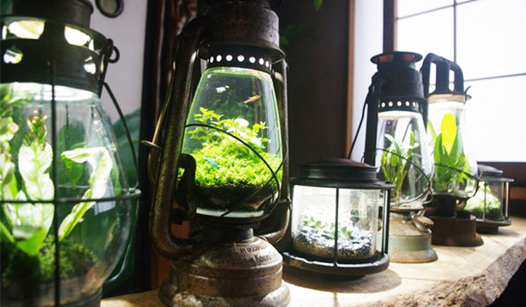懷舊提燈變精緻小魚缸！日本網友超強手作帶你走入屬於魚的國度