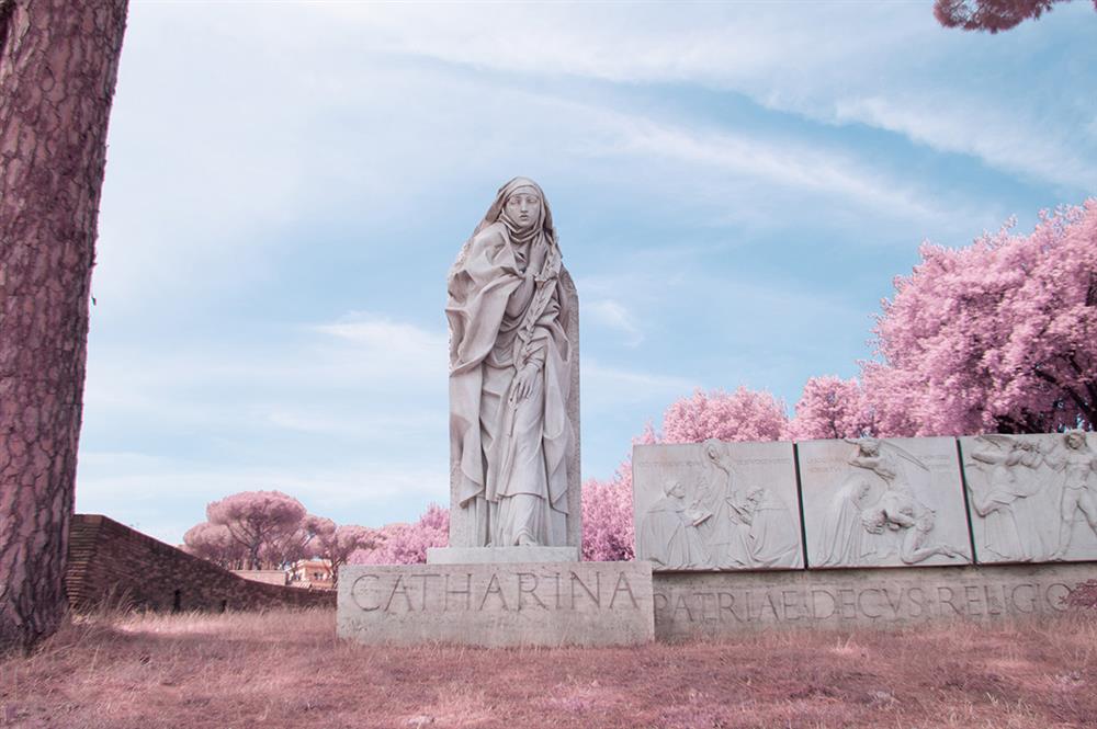 7ce29141152287.579a6eea99d58