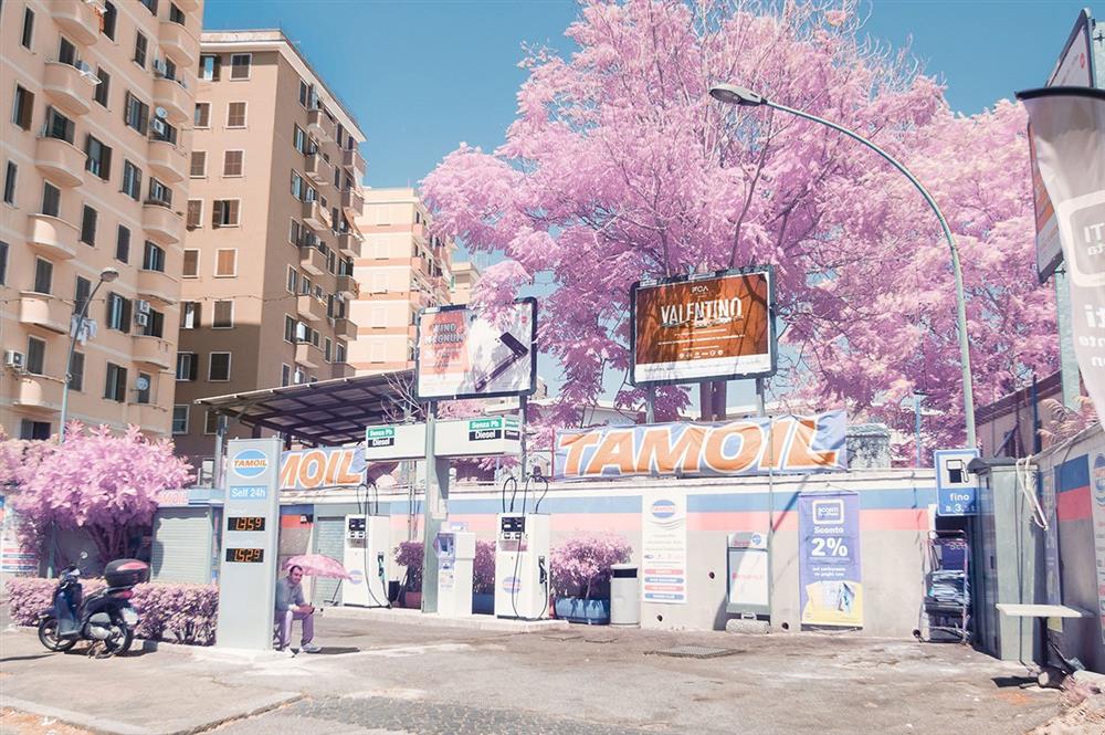 想知道戀愛中的粉紅世界是長怎樣嗎？猶如盛開櫻花季的紅外線攝影創作