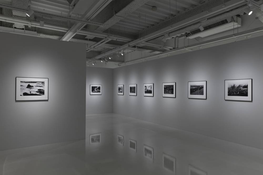 留給下一代的湛藍備忘錄!學學文創《孩子的海洋》展覽! 留給下一代的湛藍備忘錄!學學文創《孩子的海洋》展覽!