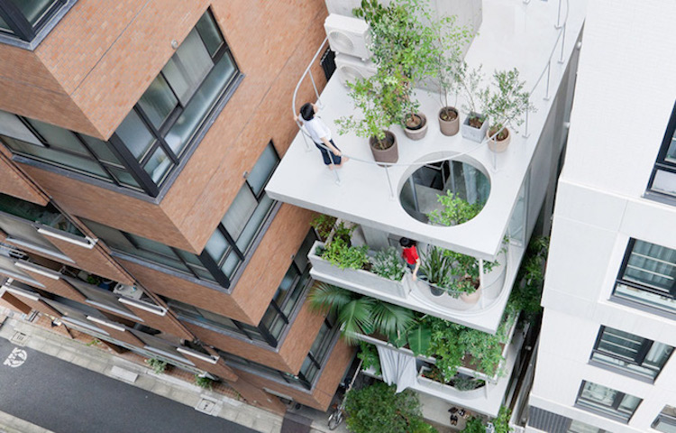 西澤立衛綠意傑作!東京植物共生居所,5層樓全透明玻璃欄杆擁抱自然! 西澤立衛綠意傑作!東京植物共生居所,5層樓全透明玻璃欄杆擁抱自然!