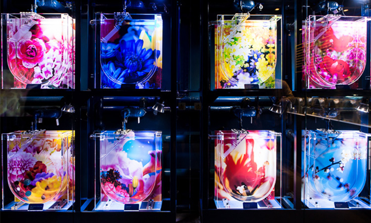 泡泡水母X繽紛繁花！蜷川實花與墨田水族館合作水族鏡面空間
