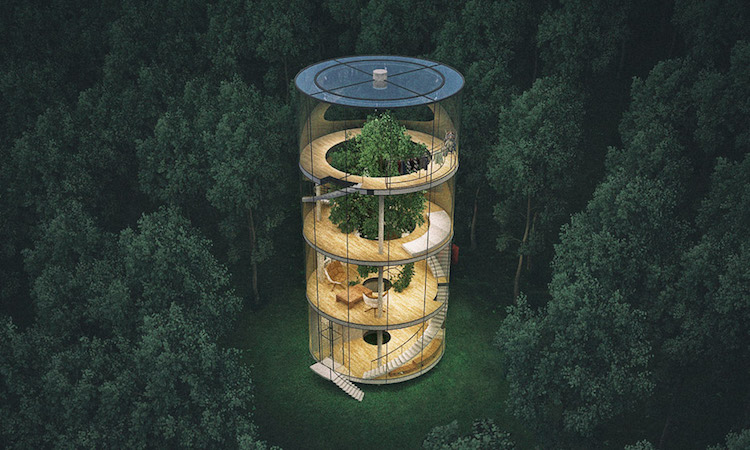 別人養仙人掌，他在室內種一整棵樹！哈薩克建築師打造環保室內樹屋