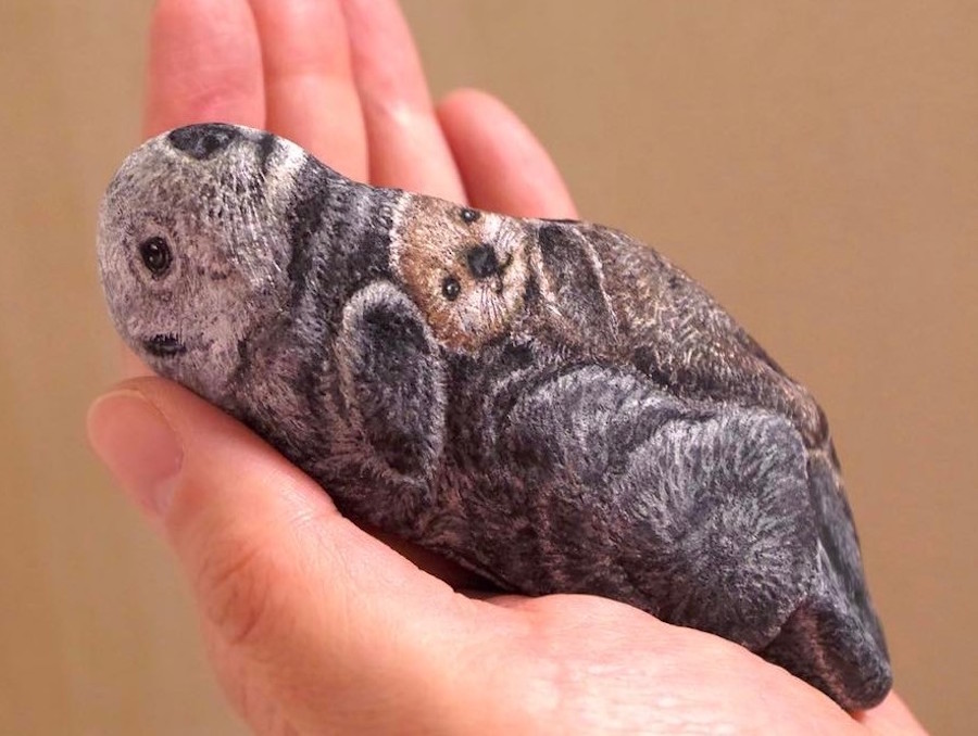 超萌貓頭鷹是石頭變的？日本藝術家畫出令人讚嘆的石頭立體彩繪