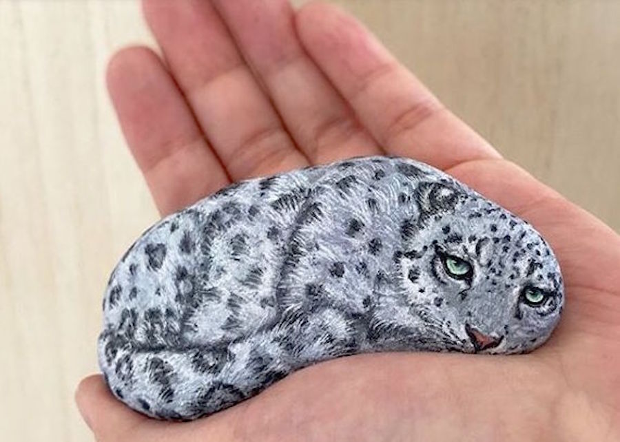 超萌貓頭鷹是石頭變的？日本藝術家畫出令人讚嘆的石頭立體彩繪