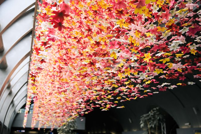 《春心‧杜鵑》繽紛杜鵑花空中花海，台北捷運大安森林站耍花樣