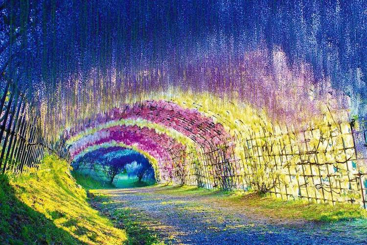 這些隧道真的存在！走進童話世界的夢幻通道特搜！