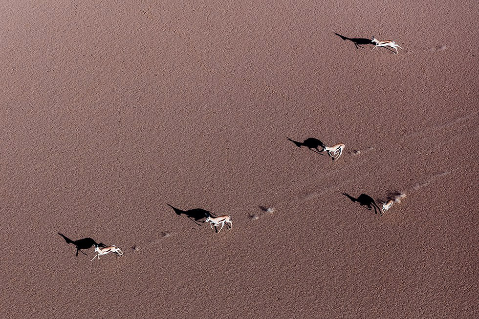 透明感自然攝影！美國攝影師Zack Seckler空拍捕捉南非澄澈自然美景_13
