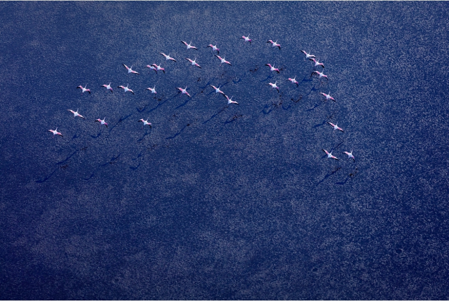 透明感自然攝影！美國攝影師Zack Seckler空拍捕捉南非澄澈自然美景_15