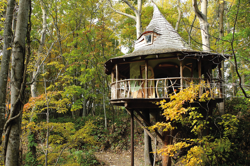 與大地為伍的建築職人！日本樹屋達人小林崇的樹屋玩樂提案_01