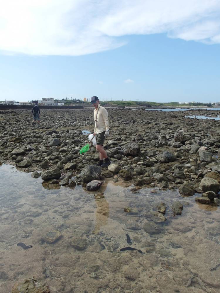 潮間帶探索