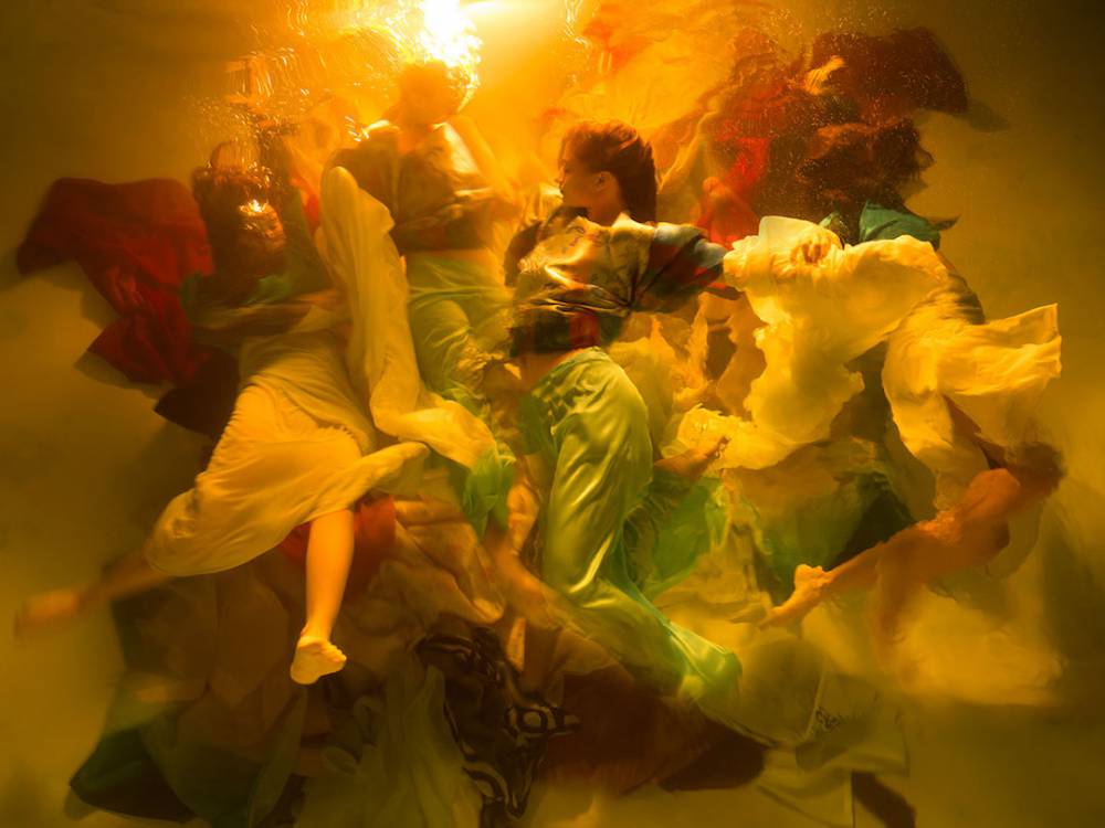 《Harmony》© Christy Lee Rogers 《Harmony》© Christy Lee Rogers