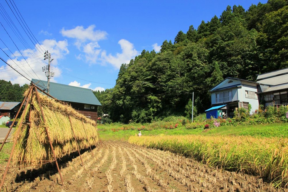 新潟「うしだ屋」在百年古宅農村民宿體驗新鮮野菜、鄉間自然魅力 新潟「うしだ屋」在百年古宅農村民宿體驗新鮮野菜、鄉間自然魅力