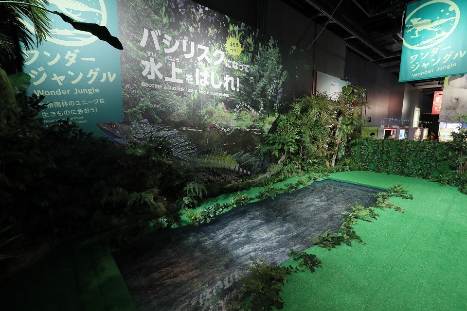 海外首站!日本最夯親子活動「變變變!MOVE生物體驗展」今年12月來台 海外首站!日本最夯親子活動「變變變!MOVE生物體驗展」今年12月來台