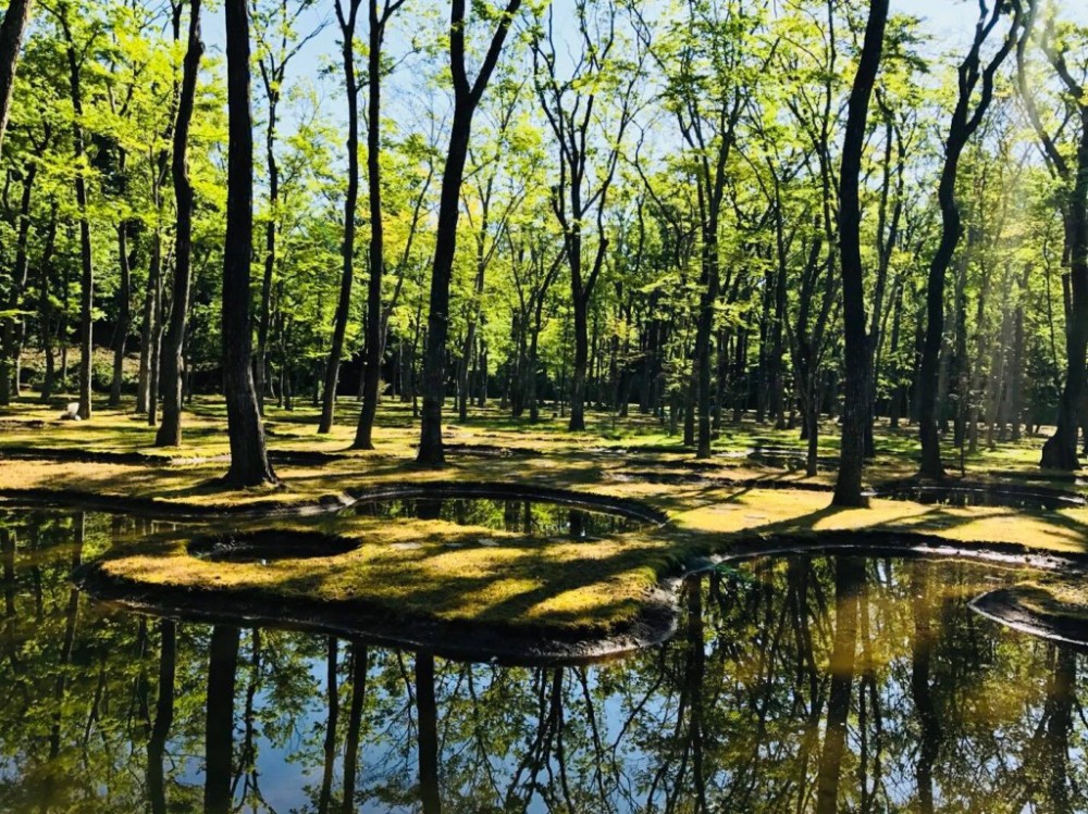 「水庭」（Water Garden）