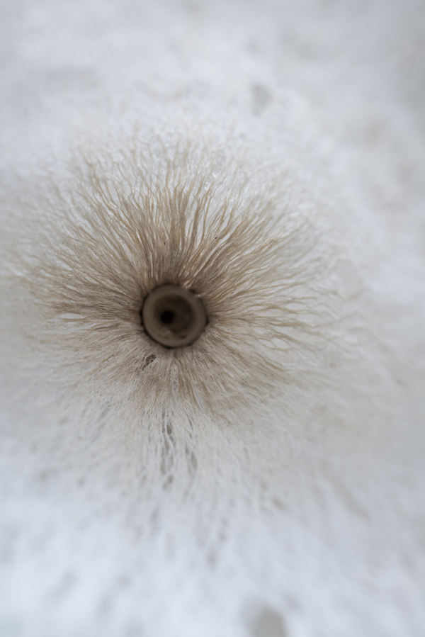 揭開台灣10種在地工藝材料美學！「觸之美」集結15組工藝家 感受從手到心的工藝之美10