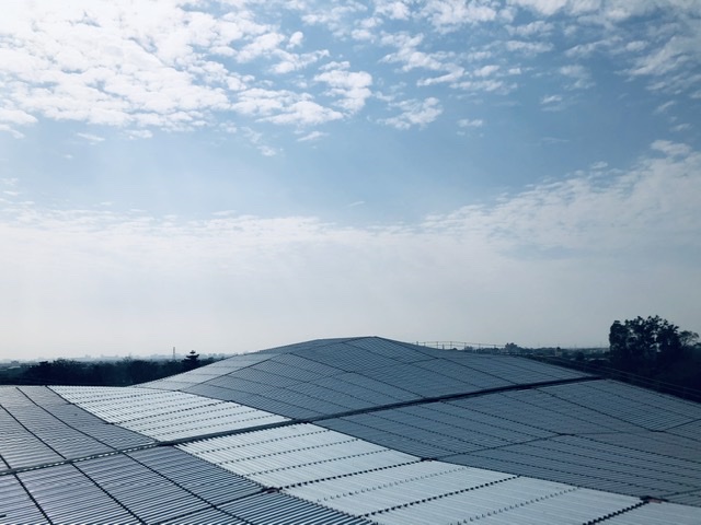 台南「新化果菜市場」9月正式啟用！MVRDV打造山形梯田屋頂設計顛覆傳統市場美學5