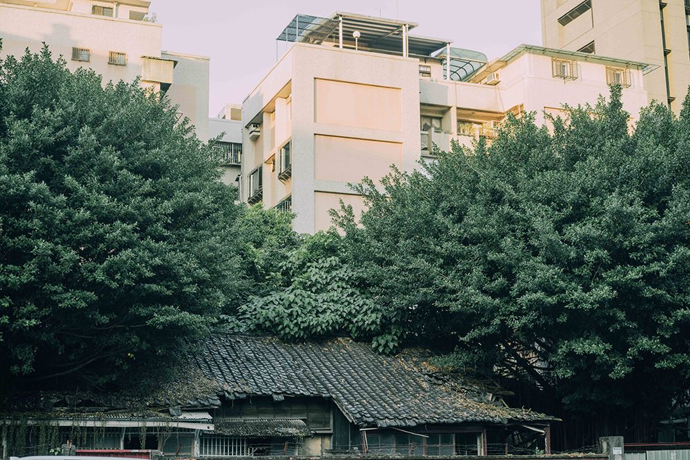 《用鏡頭看見潮州街 - 攝影師叮咚的潮州綠地圖》作品