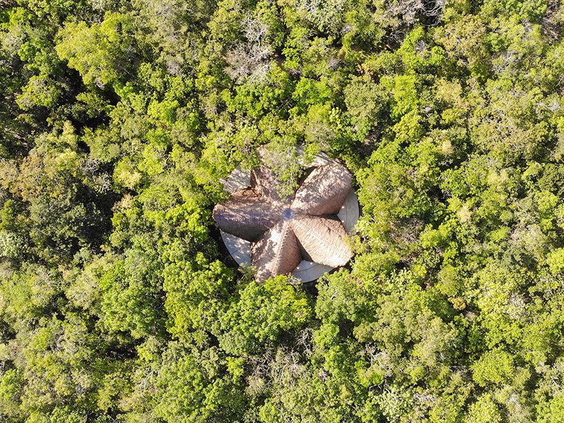 擁有優雅曲線的竹建築！墨西哥叢林涼亭「Luum Temple」感受自然光影的靜心秘境_02