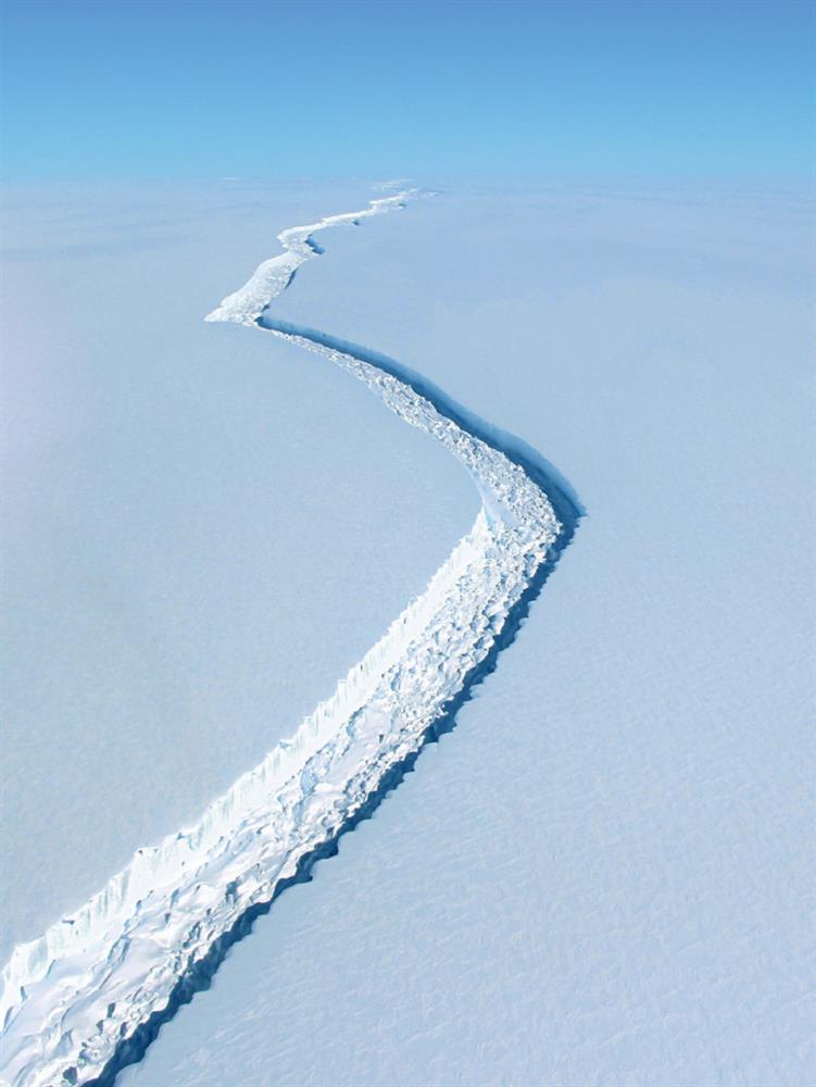 令人心碎的畫面！《我們的星球》墜落致死海象、浮冰上北極熊揭示暖化下的極地難民營_06