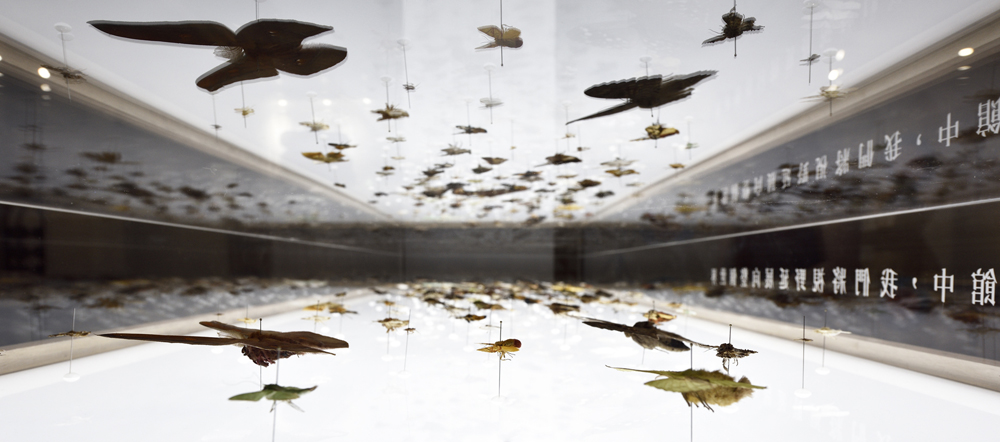 森山蛾特展＿展場攝影紀錄-05【照片提供｜森3 SUN SUN MUSEUM、攝影｜汪德範】