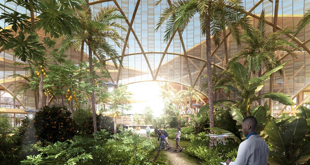 每個單位的中心都是農耕地，讓居民能自食其力。