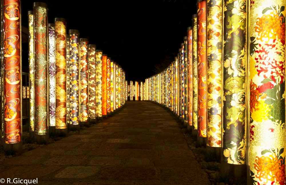 美麗和服布料化身光之森林！京都嵐山車站「友禪的光林」600根圓柱成絕美光影小徑