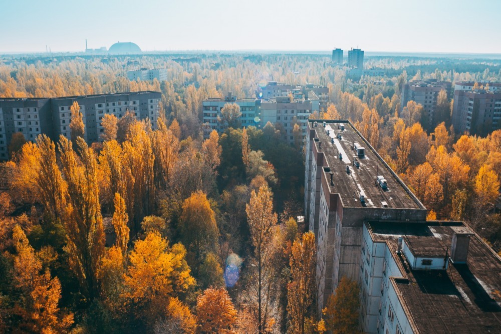 原子城普利皮亞特(Pripyat)現已被森林佔據 原子城普利皮亞特(Pripyat)現已被森林佔據