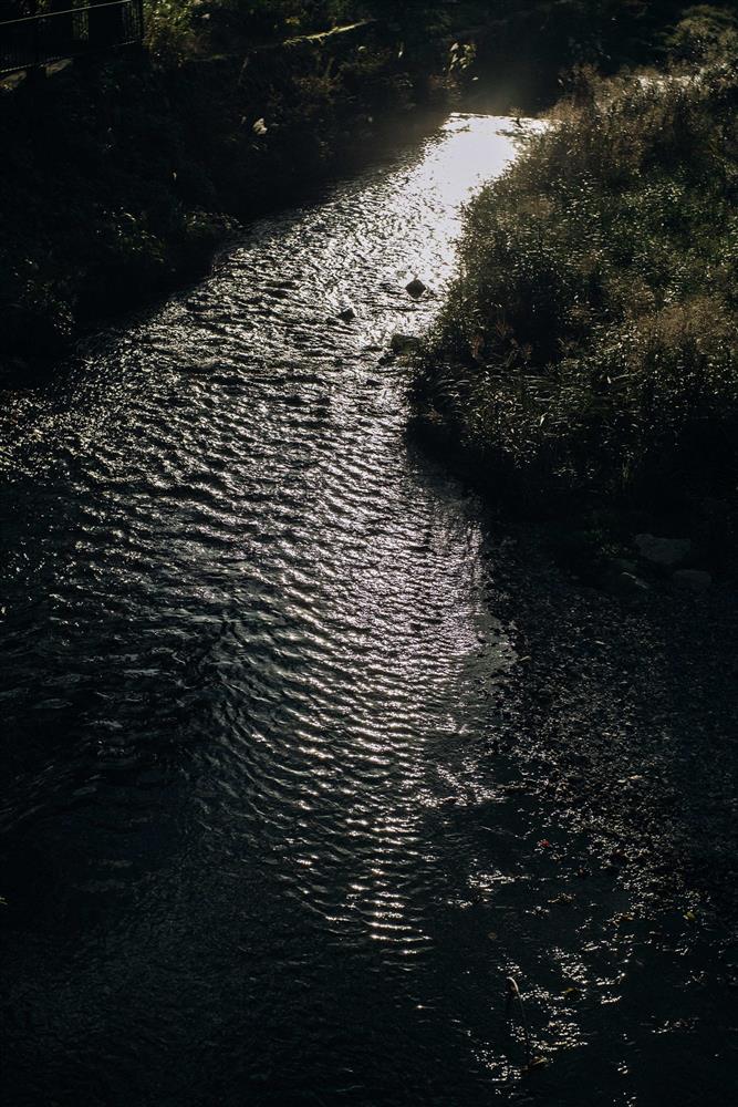 專訪／鏡頭下的時光意義！攝影師叮咚　時光回憶的捕捉者