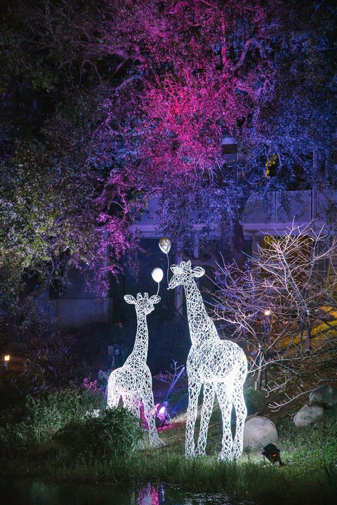 任大賢-動物世界(4)