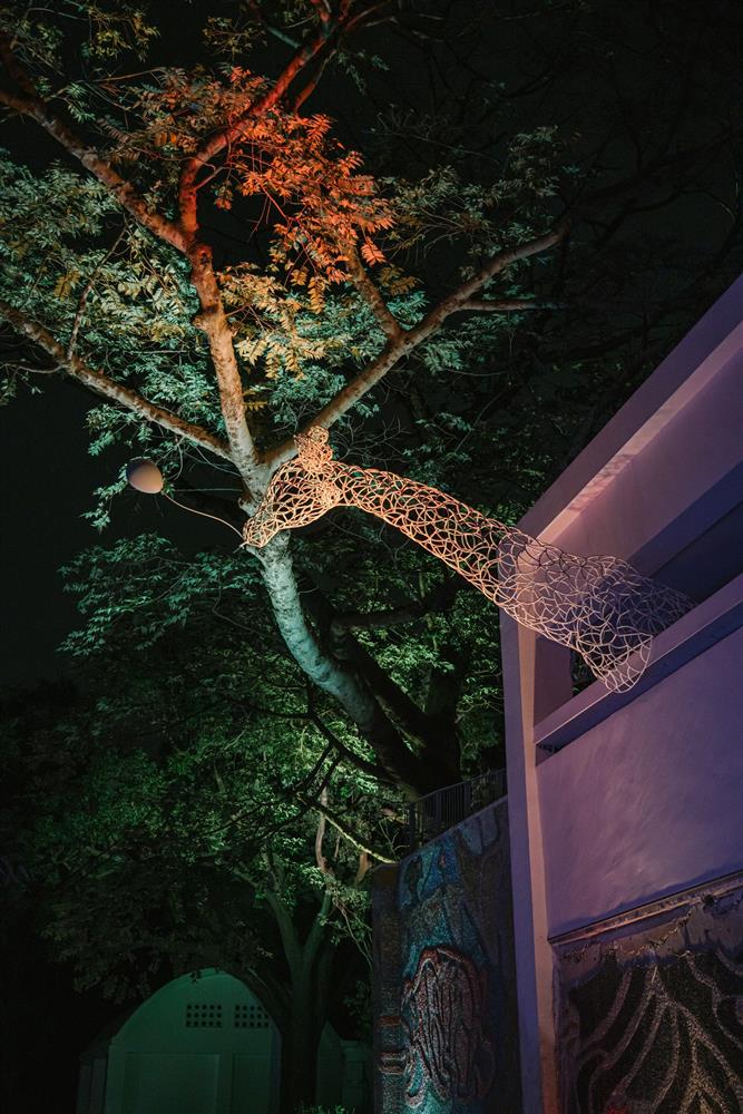 任大賢-動物世界(8)