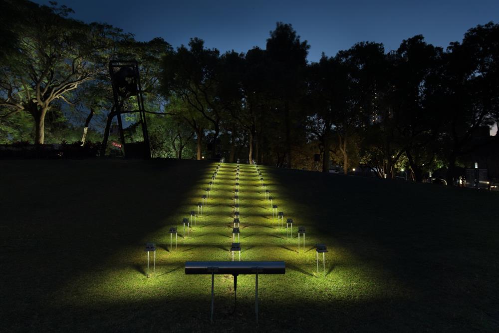 姚仲涵〈光電獸19－草與樹〉 ，2020，LED、電腦、音響、電子裝置，25x25m，攝影師：劉森湧 (2)