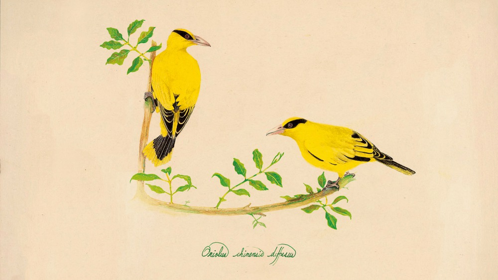 ren_ru_he_xue_hui_yu_yan_